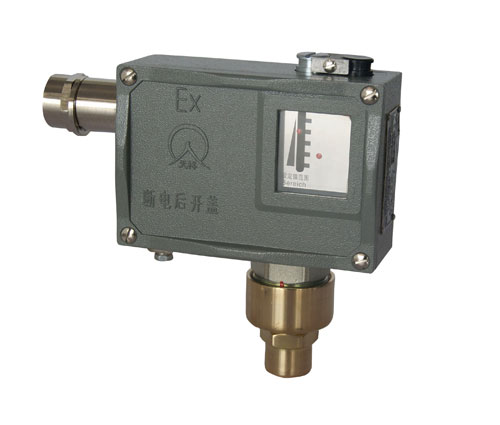  502/7D防爆压力控制器 