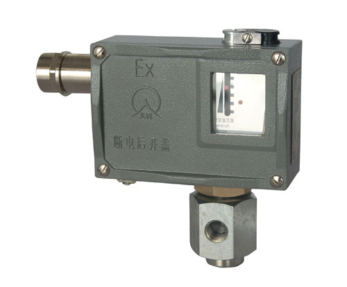  504/7D防爆压力控制器 